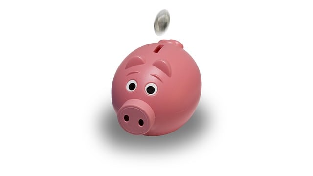 HELOC-Loan