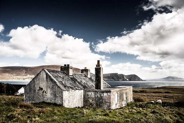 House-Flipping