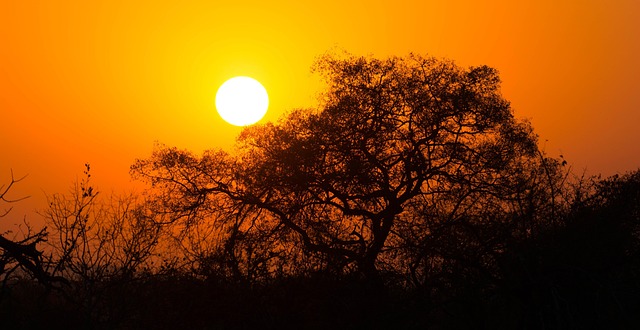 Litchfield Park