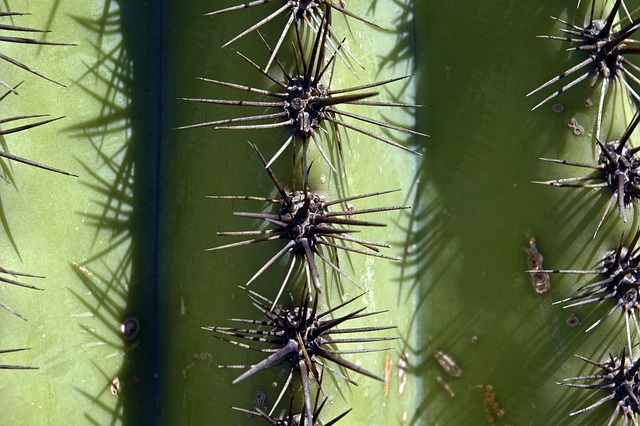 tucson-640x480-98756515.jpeg