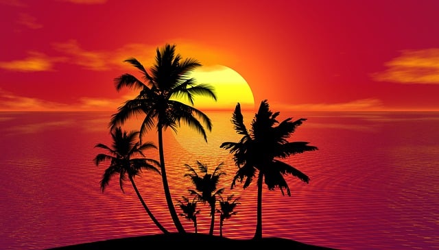 Vacation-Rentals