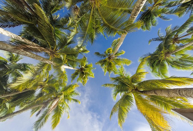 Navigating Real Estate: Local Regulations and Licensing Demands