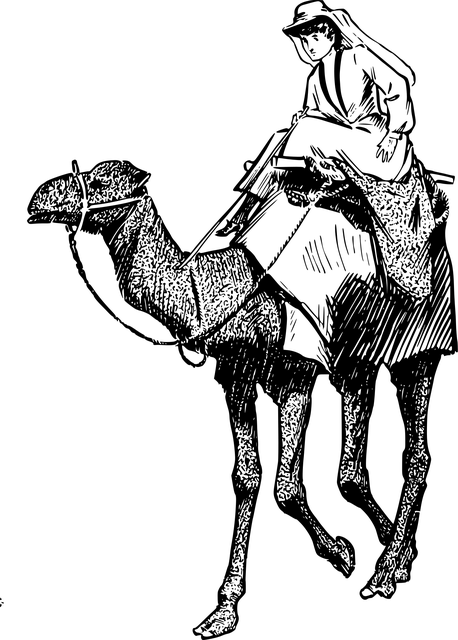 VR-Tours