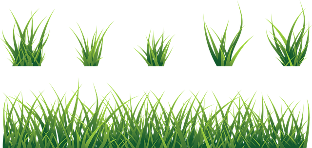 eco-landscaping-640x480-29092876.png