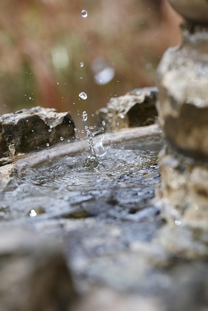 fountain-hills-640x480-79918088.jpeg