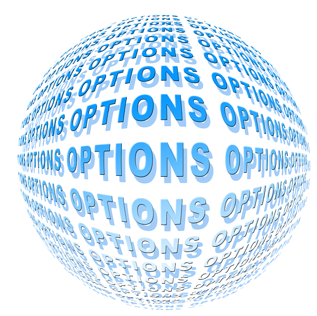 FSBO-Option