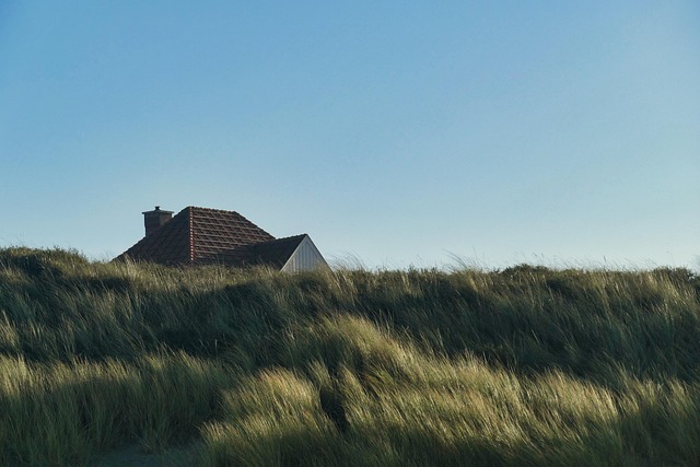 House-Flipping
