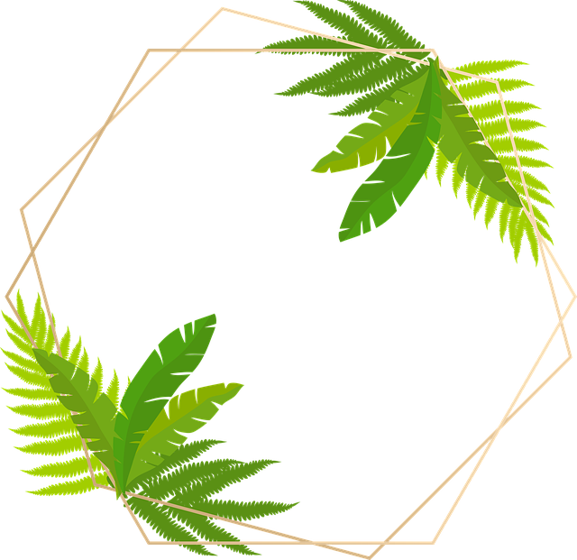 lease-types-640x480-74946697.png