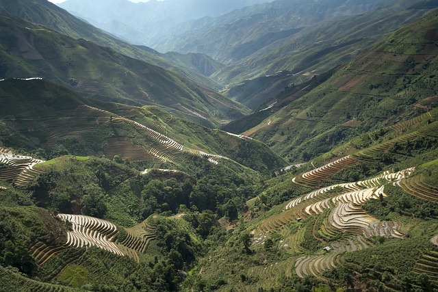 paradise-valley-640x480-19894603.jpeg