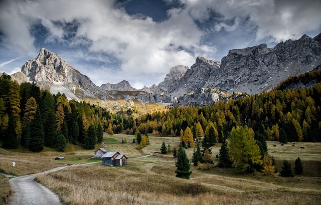 paradise-valley-640x480-81374351.jpeg
