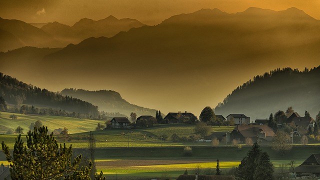 Paradise Valley
