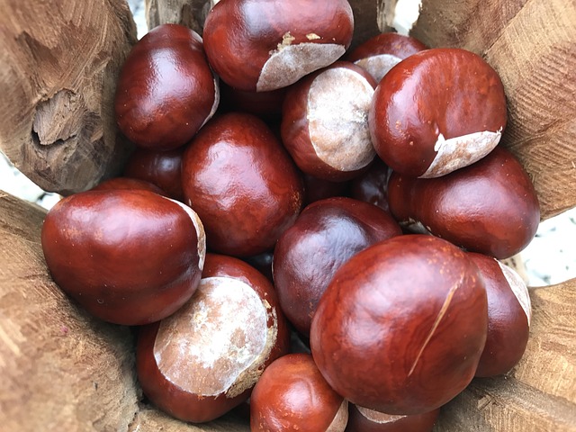 Buckeye