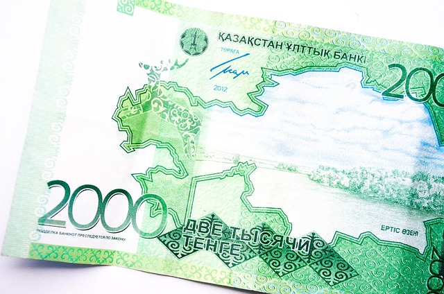 HELOC-Loan