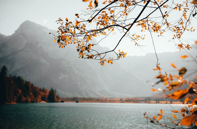 Paradise Valley