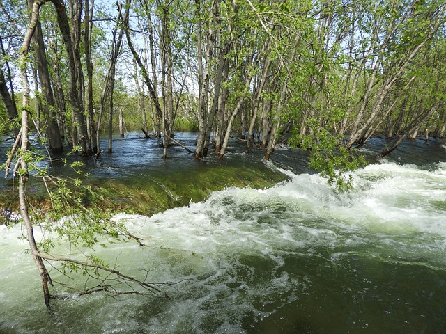 Queen Creek