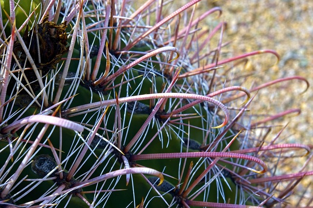 tucson-640x480-91562718.jpeg