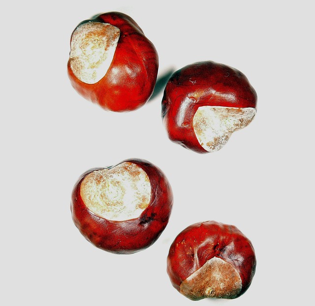 buckeye-640x480-64558644.jpeg