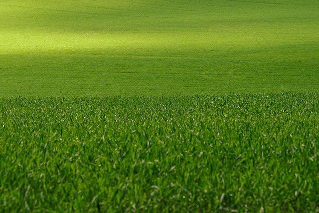Eco-Landscaping