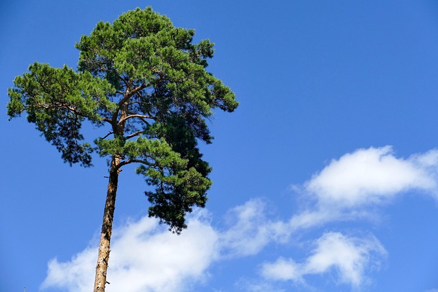 eco-landscaping-640x480-50360501.jpeg