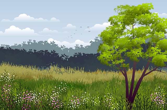 Eco-Landscaping