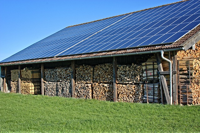 Eco-Landscaping
