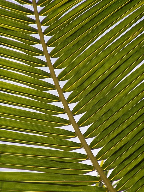 eco-landscaping-640x480-7385788.jpeg