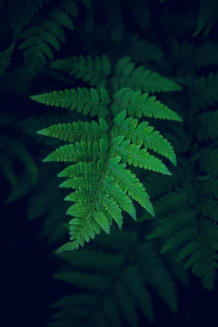 eco-landscaping-640x480-81123799.jpeg