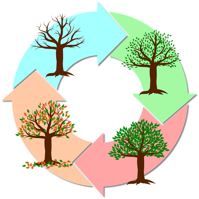 economic-cycles-640x480-28029142.png