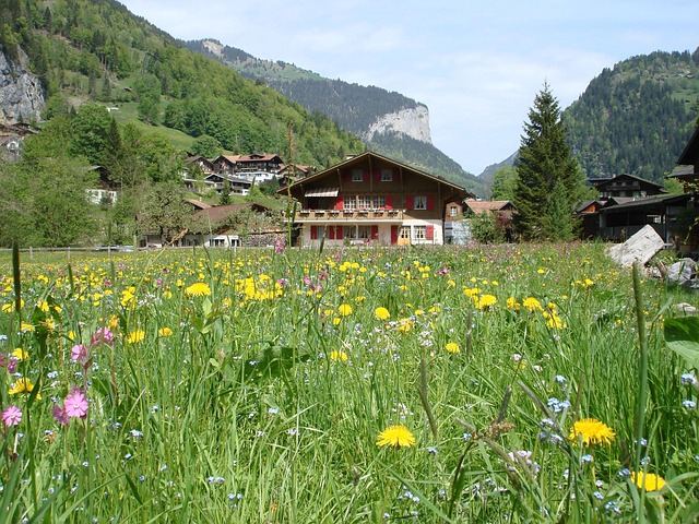 Green-Building