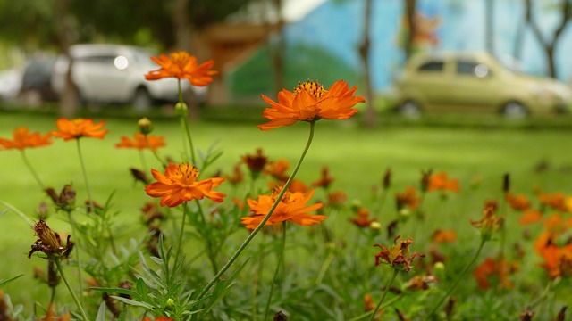hoa-rules-640x480-39038700.jpeg