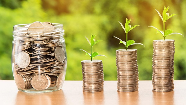 Investment-ROI