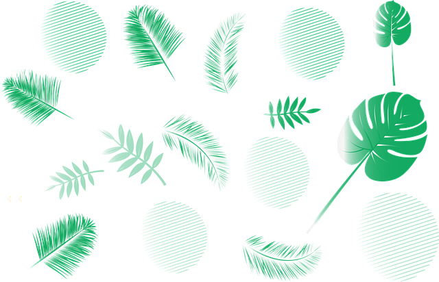 lease-types-640x480-32749204.png