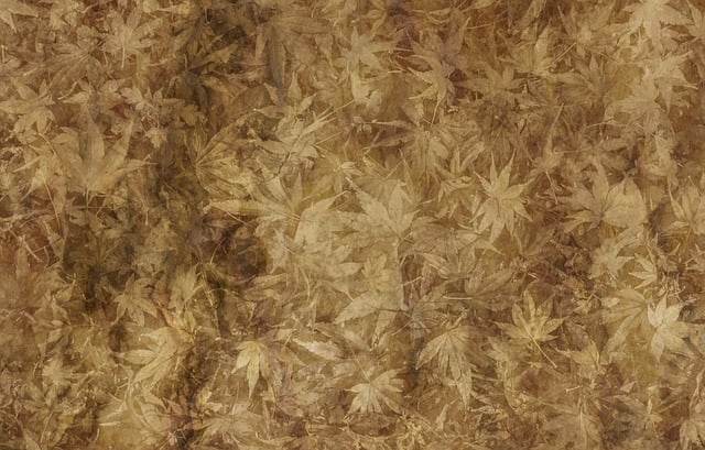 leed-certification-640x480-88757355.jpeg