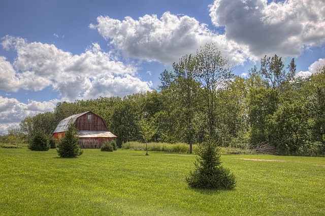 Real Estate Propels State’s Economic Growth Strategies