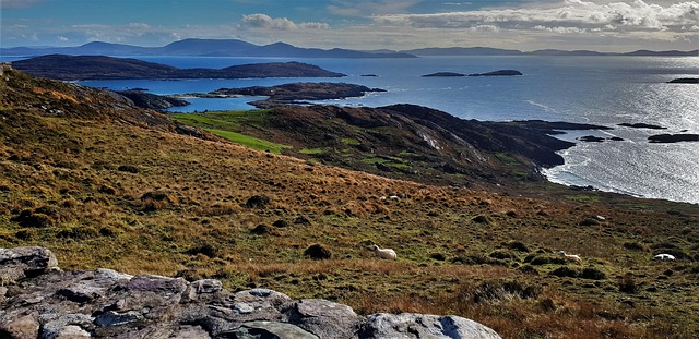 Maricopa County