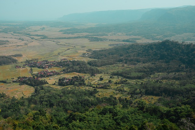 Paradise Valley