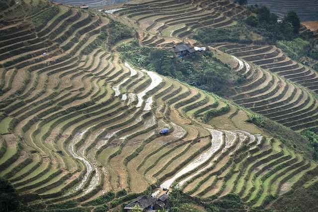 paradise-valley-640x480-51499913.jpeg