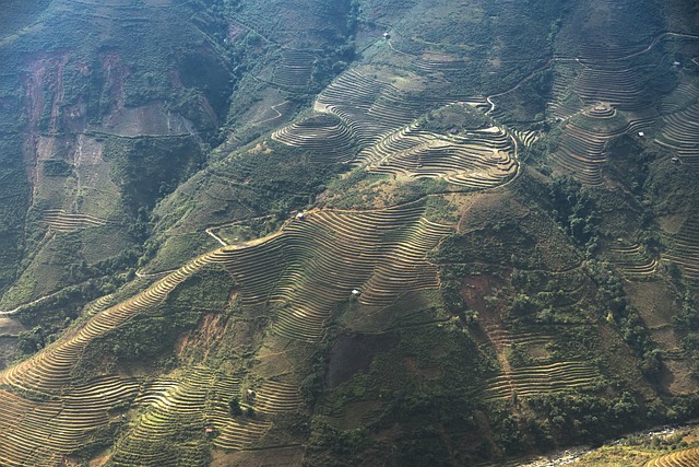 Paradise Valley