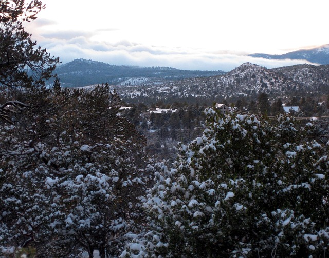 Prescott