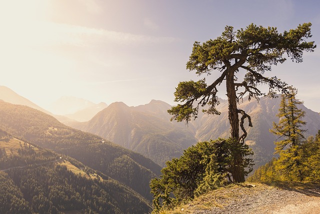 Unleashing Opportunities: Rapid Growth Real Estate Secrets Revealed