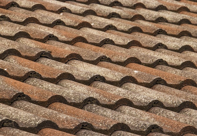 property-maintenance-640x480-92462874.jpeg