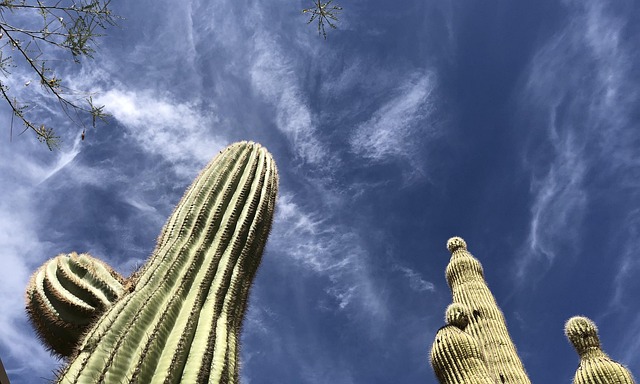 Scottsdale