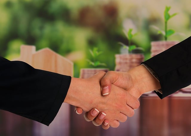 Buyer-Negotiation