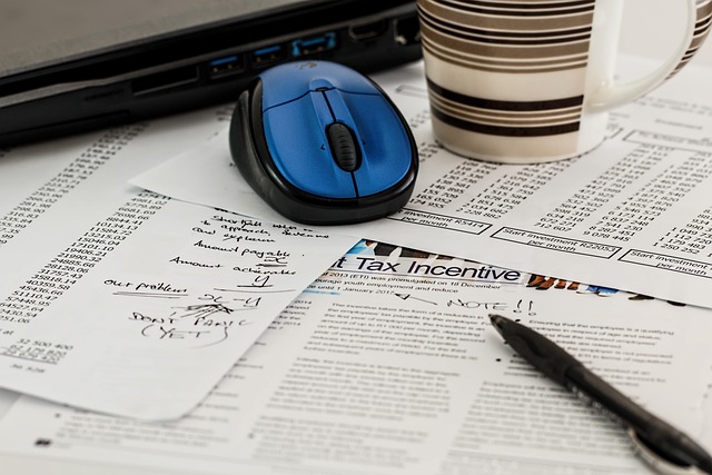 Debt-Income