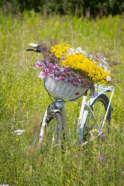 Economic-Cycles