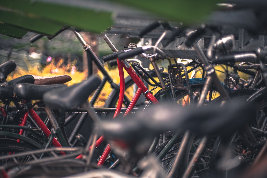 Economic-Cycles