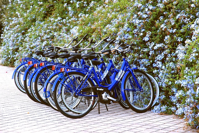 Economic-Cycles