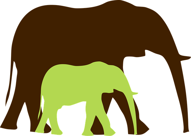 Jumbo-Loans