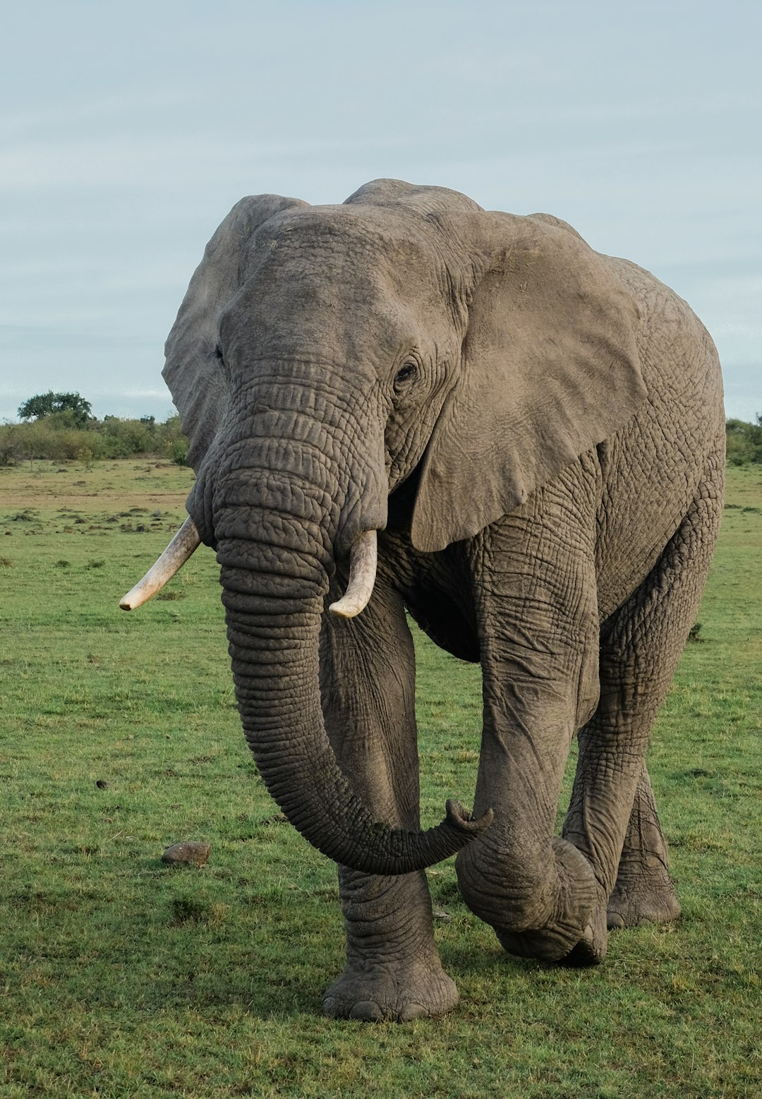 Jumbo-Loans