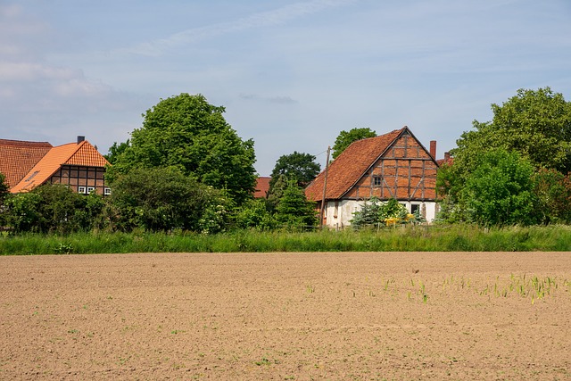 Property-Development